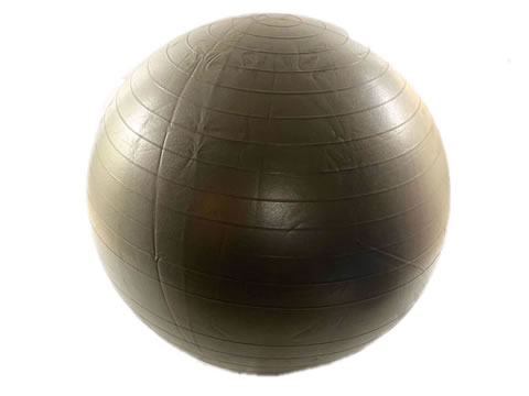 Gym Ball 85cm